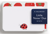 Ladybug Little Notes with Tomato Envelope Duo Set
