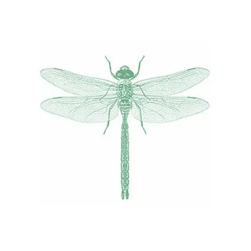 Dragonfly Notecard Set